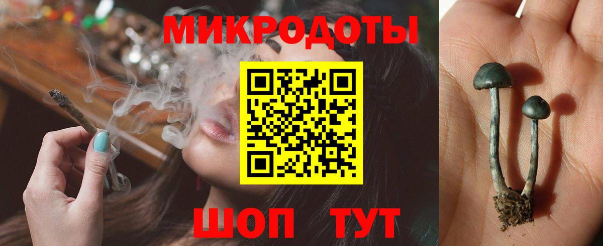 Красноармейск  Галлюциногенные грибы Magic Shrooms  Вход с VPN 