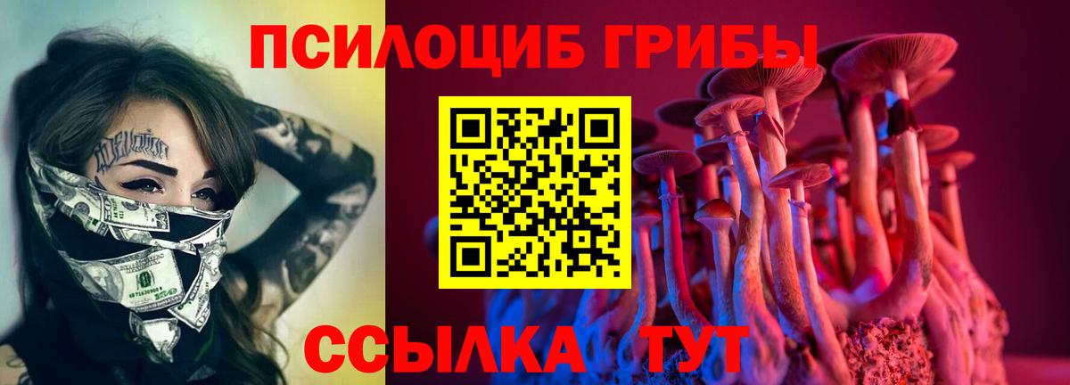 Псилоцибиновые грибы GOLDEN TEACHER Красноармейск